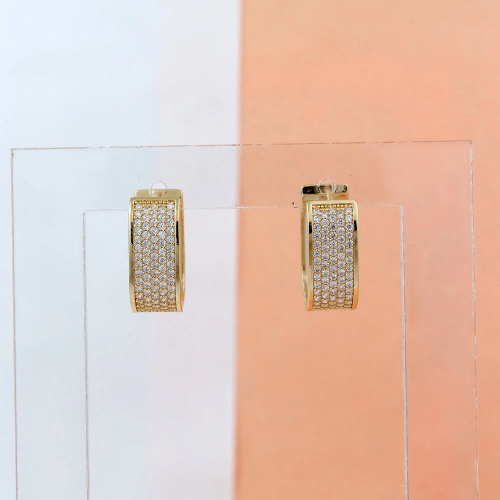 Shiny Pave Earrings